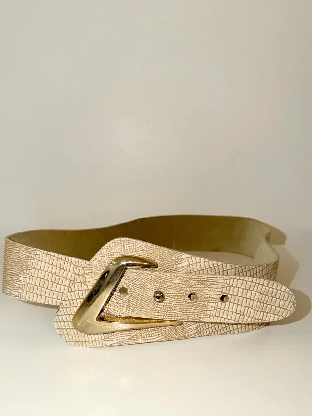 Vintage Shiny Beige Tan Embossed Snakeskin Wide Belt With Gold-Tone Detail